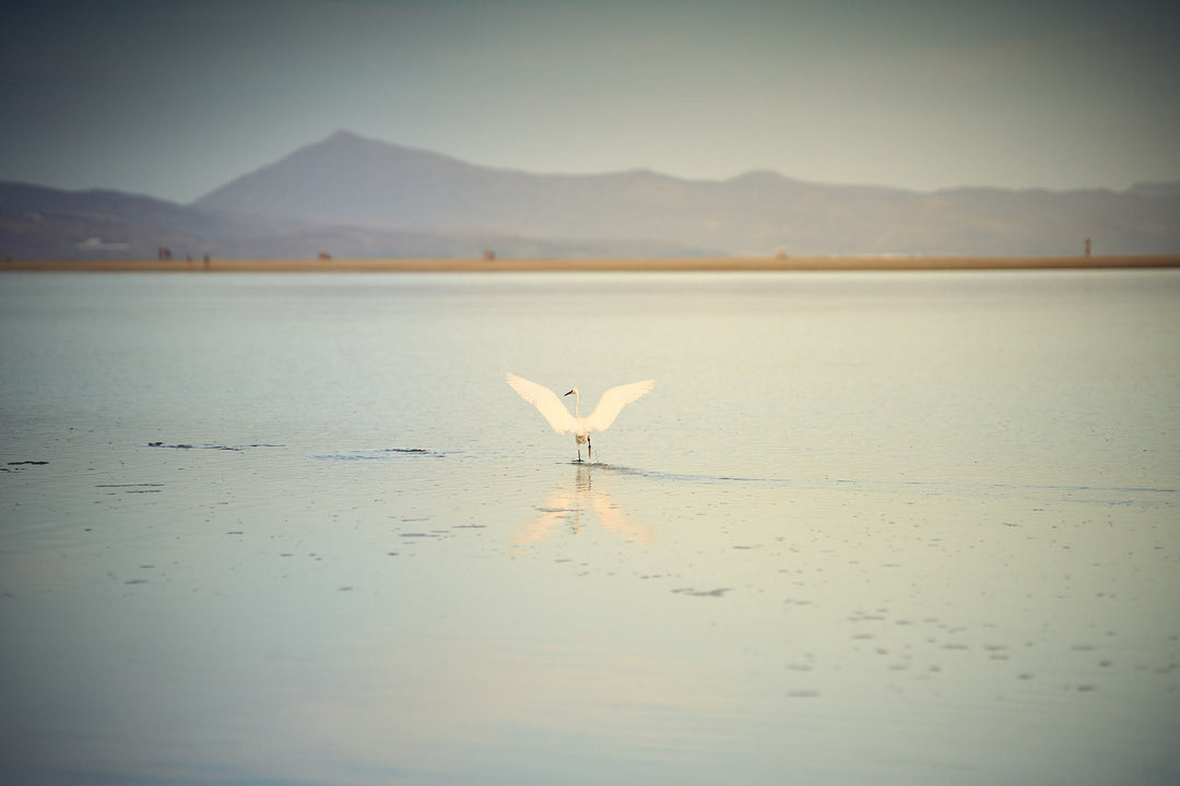 Aquamarin Huggies - ALICIA'S DIARY®