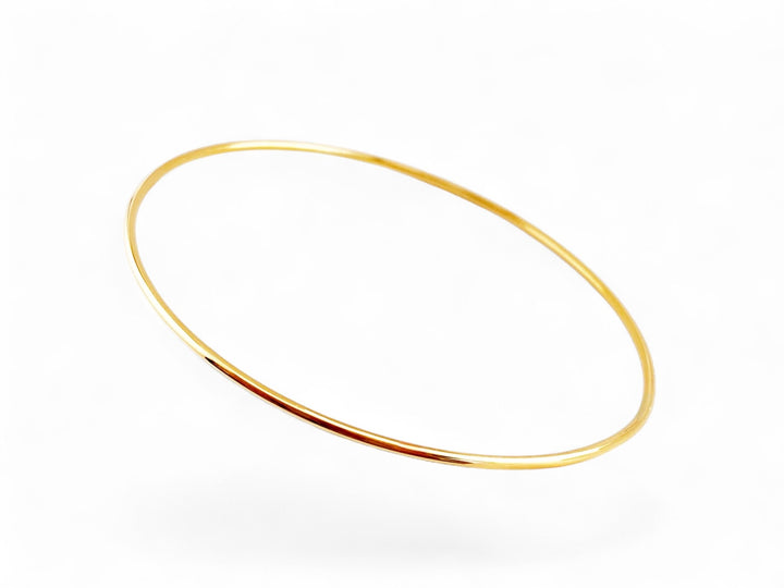 Smart Bangle - ALICIA'S DIARY