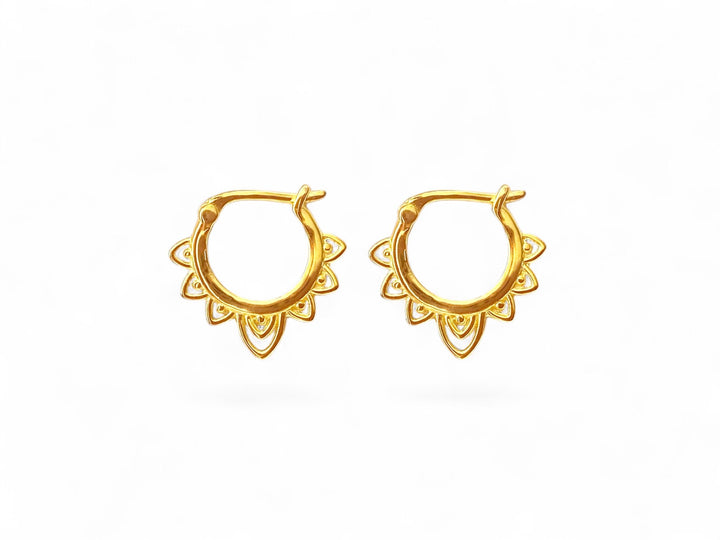 Goldene Creolen aus Jewelry Online Shop von Alicia's Diary