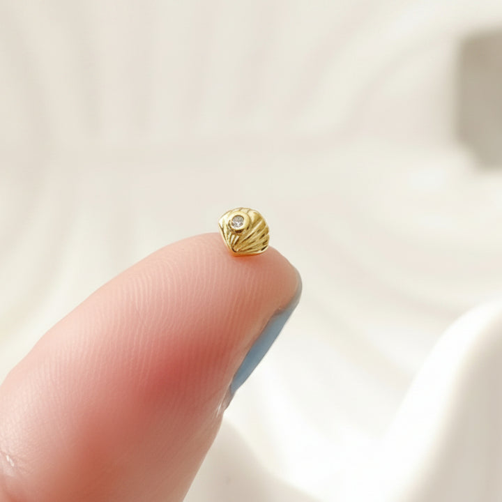 Mini Shell Stud Earrings - Alicia&