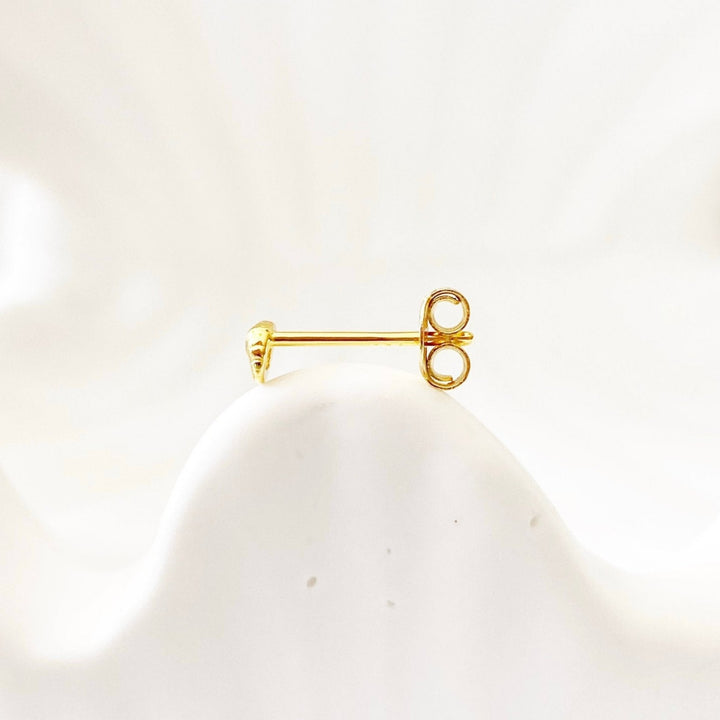 Mini Shell Stud Earrings - Alicia&